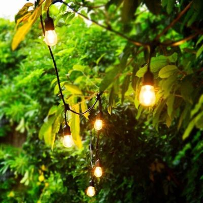 Transforme a sua casa num país das maravilhas do inverno com produtos de café luzes de cordas solares