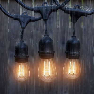 Lâmpada de cordas LED de tamanho de cor personalizado para decoração de jardim Festoon ao ar livre