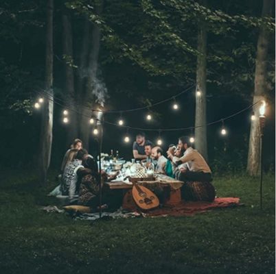 Decoração para o lar E26 LED Twinkle Light Tree Lamp Com Voltagem de Entrada de Tamanho Personalizado
